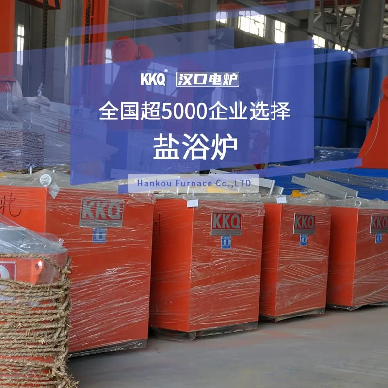 Salt Bath Furnace